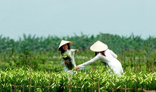 5 địa điểm tuyệt vời cho c&aacute;c "ph&oacute; nh&aacute;y"